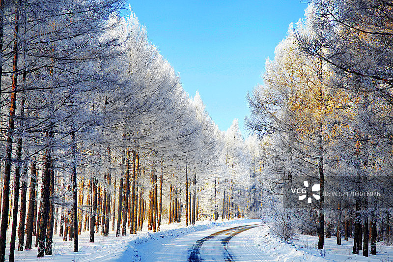 美丽的海拉尔冰雪赛道图片素材