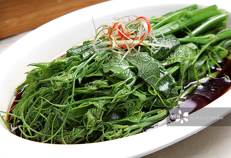 龙须菜图片素材