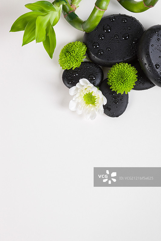 鹅卵石与富贵竹图片素材