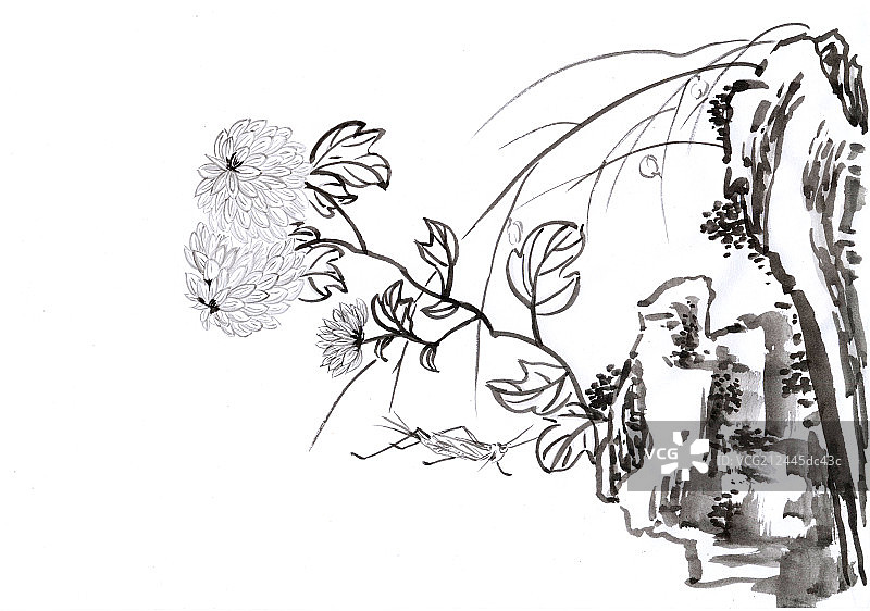 菊花与蟋蟀图片素材