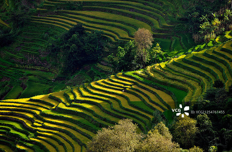 元阳梯田2图片素材