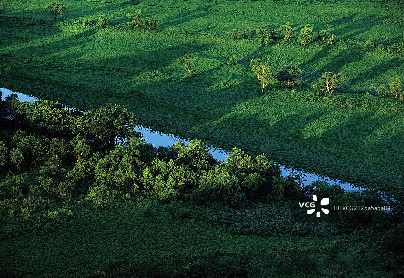 珍宝岛湿地图片素材