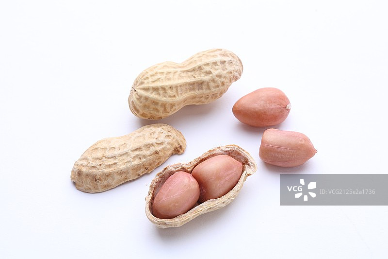 花生图片素材