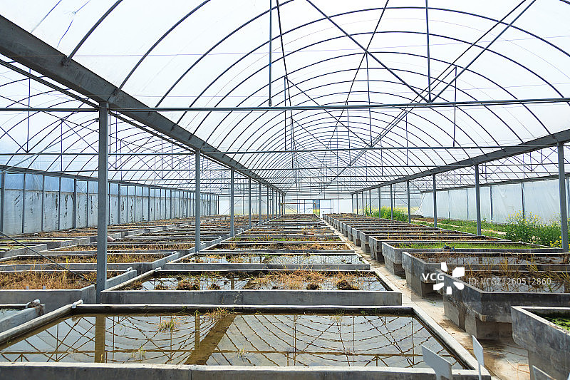 农闲时的试验育种大棚图片素材