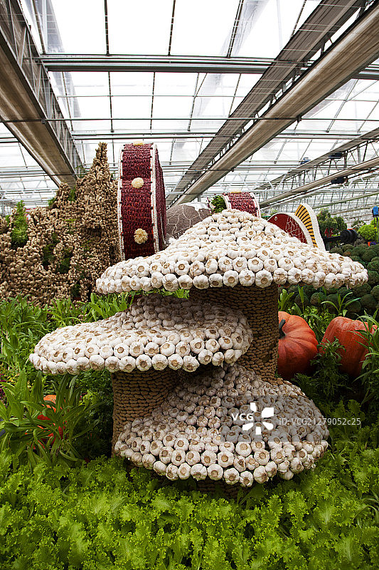 用蔬菜摆成的蘑菇造型图片素材