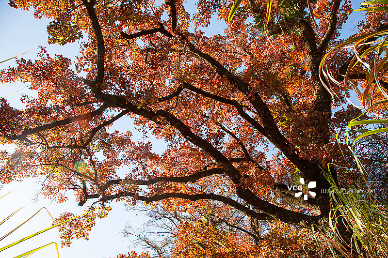 浙江省温州文成县风光图片素材