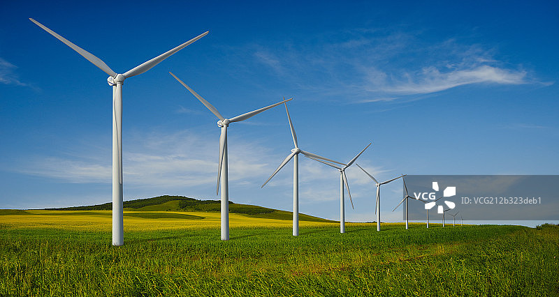 _DL22128图片素材