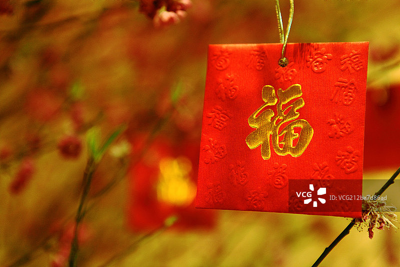 挂在发财树上的福字红包图片素材