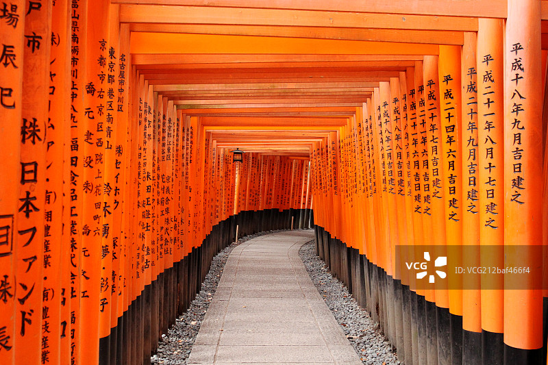 千本鸟居图片素材