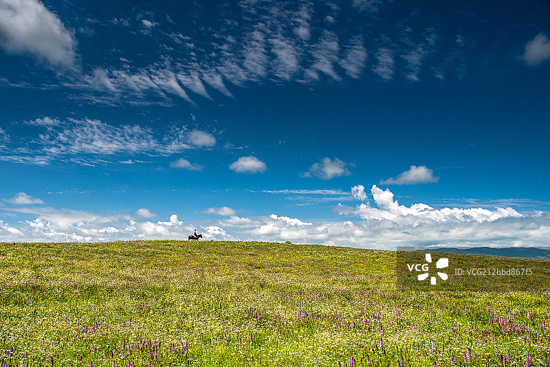 四川阿坝州红原县草原风光图片素材