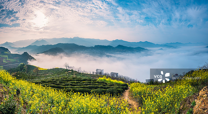 坡山云海图片素材