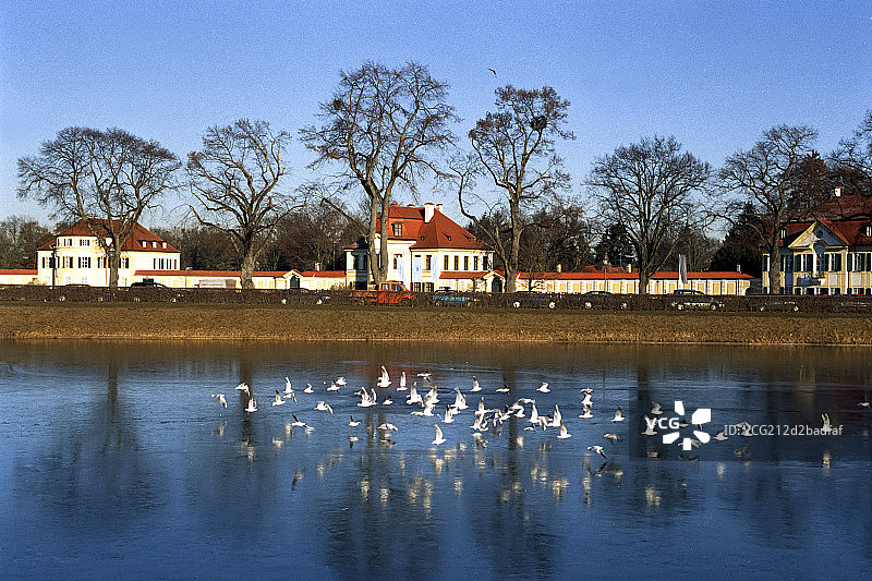 纽芬堡王宫前的小湖图片素材