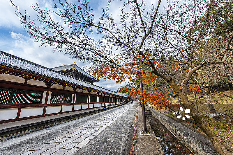 日本东大寺秋景图片素材