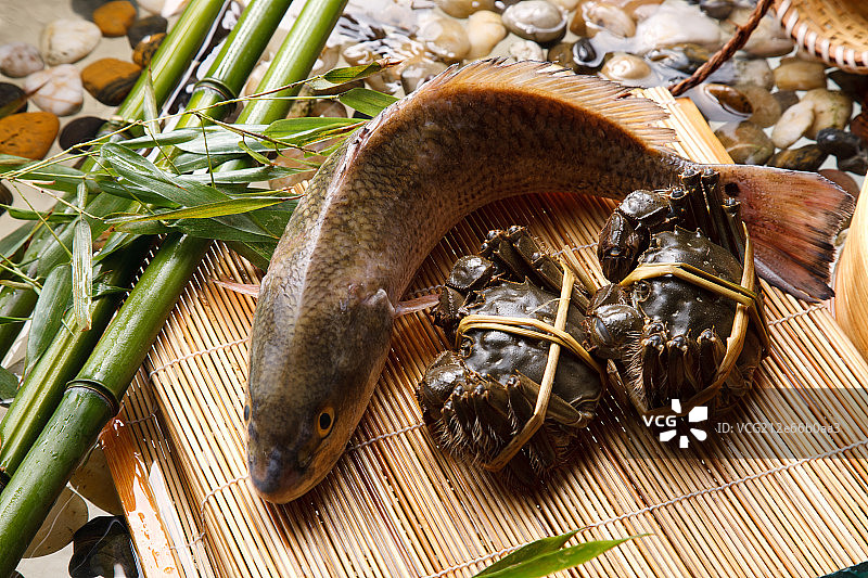 静物螃蟹鱼图片素材