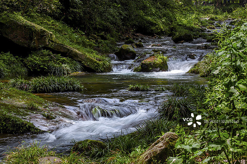 湖南张家界金鞭溪图片素材