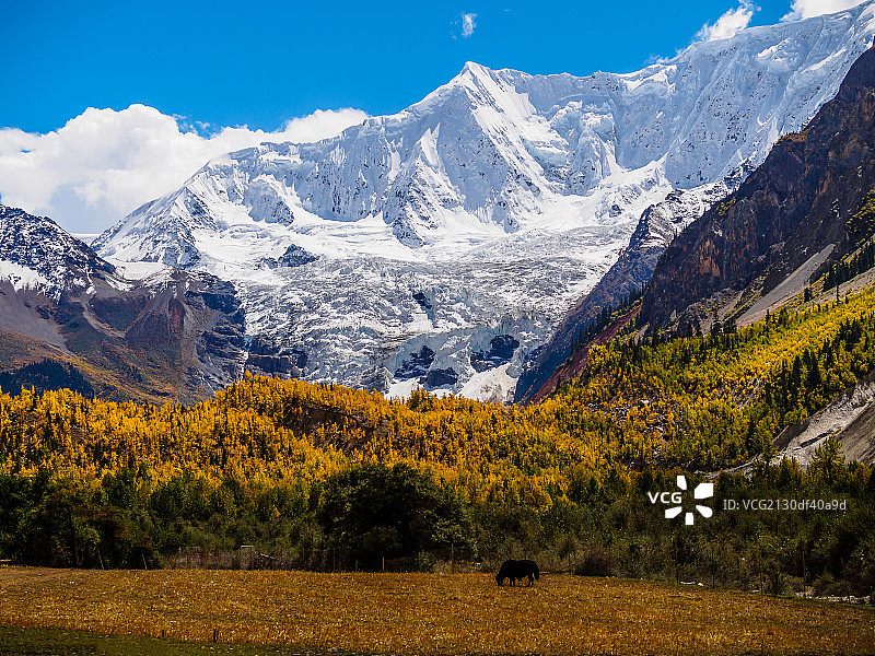 中国最美冰川之西藏米堆冰川图片素材