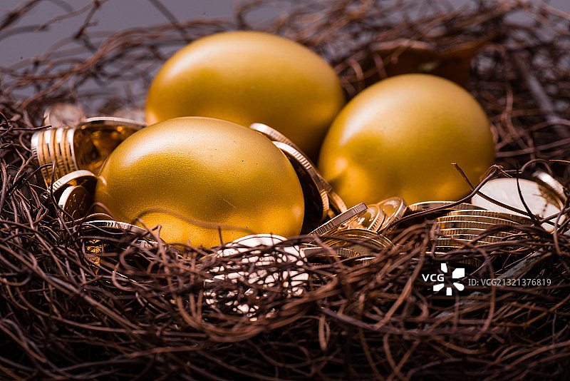 鸟巢和金蛋图片素材