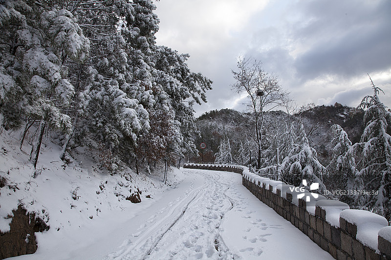 崂山雪景路图片素材