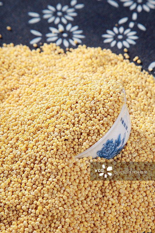 小米与杯图片素材