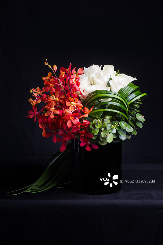 红色花卉图片素材