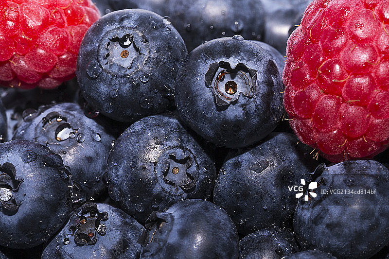 Raspberry覆盆子蓝莓特写-paige图片素材