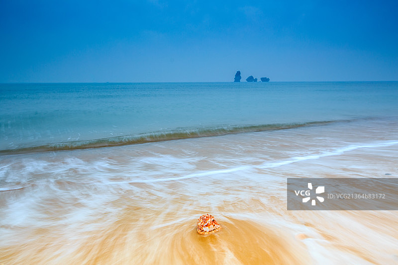 海边的海螺图片素材
