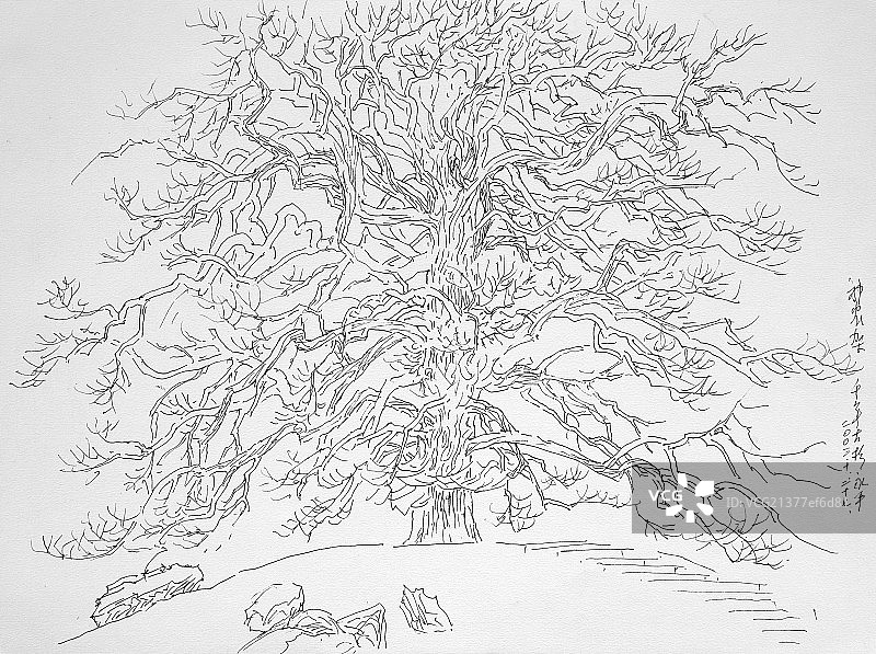 绘画手稿图片素材