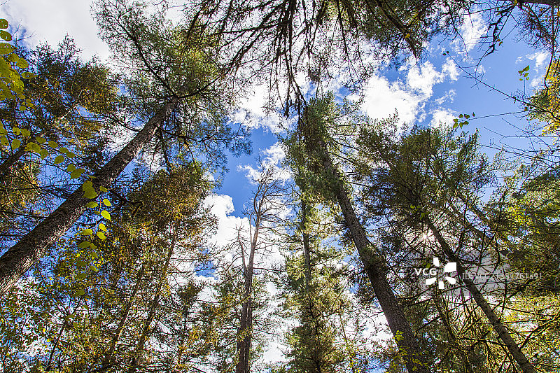 五营国家森林公园图片素材
