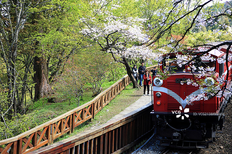 台湾阿里山自然风光图片素材