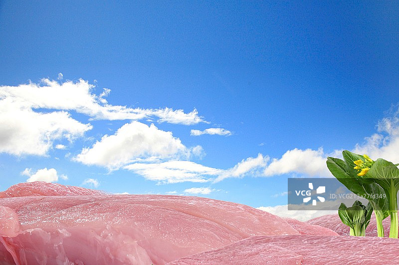 肉与白菜图片素材