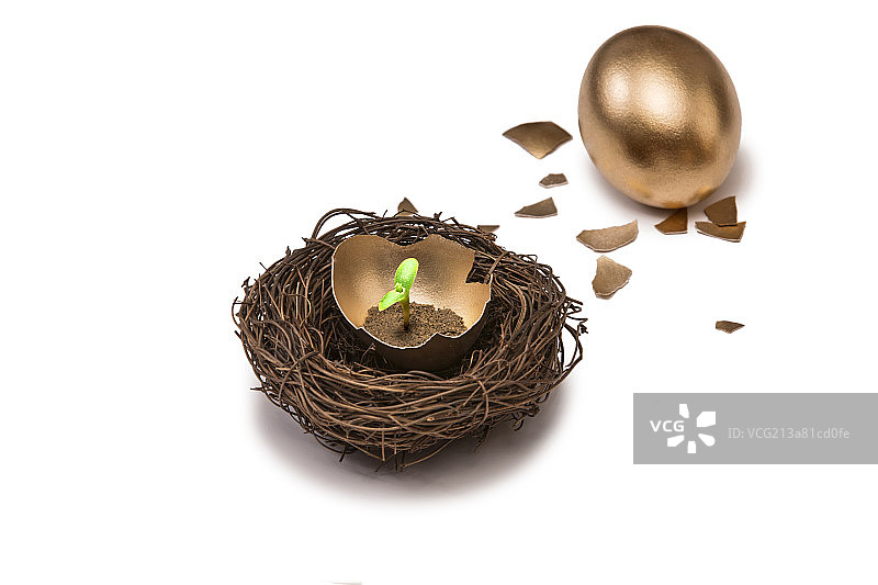 打破的鸡蛋图片素材