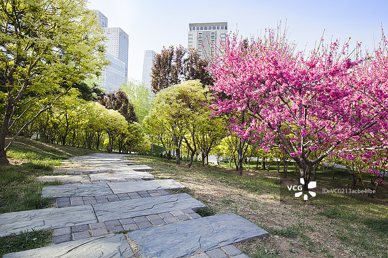 公园和高楼建筑图片素材