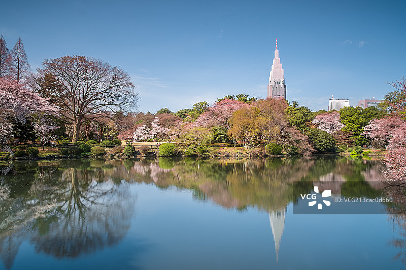 新宿御苑图片素材