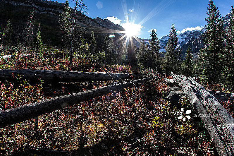 banff 国家公园图片素材