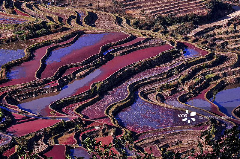 元阳梯田图片素材