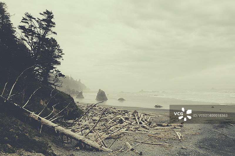 从红宝石海滩看到的海岸线，前景是成堆的浮木，美国华盛顿州奥林匹克国家公园图片素材