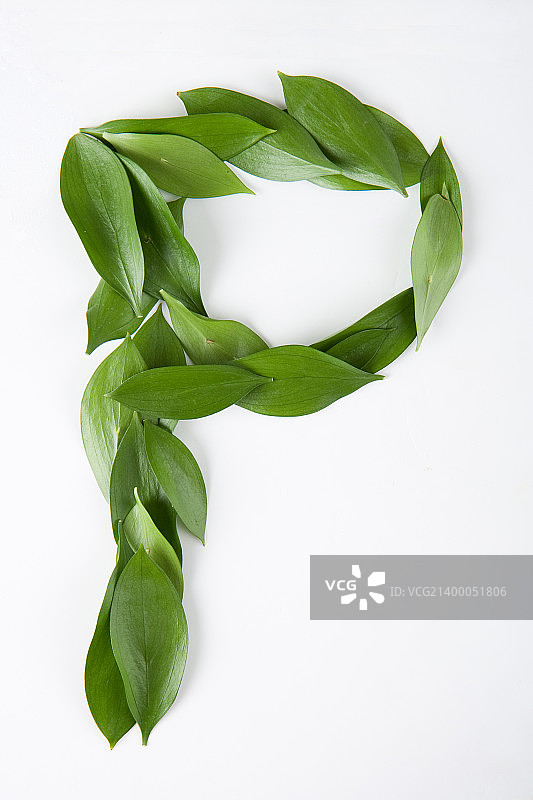 自然字体图片素材