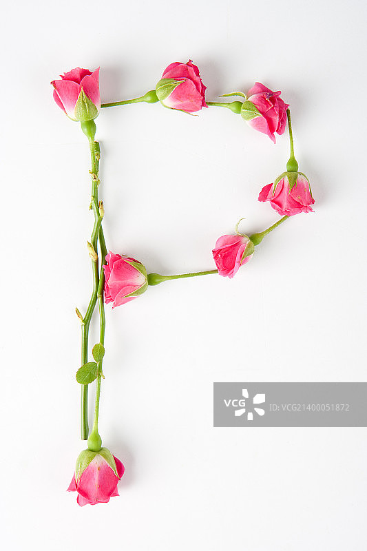 自然字体图片素材