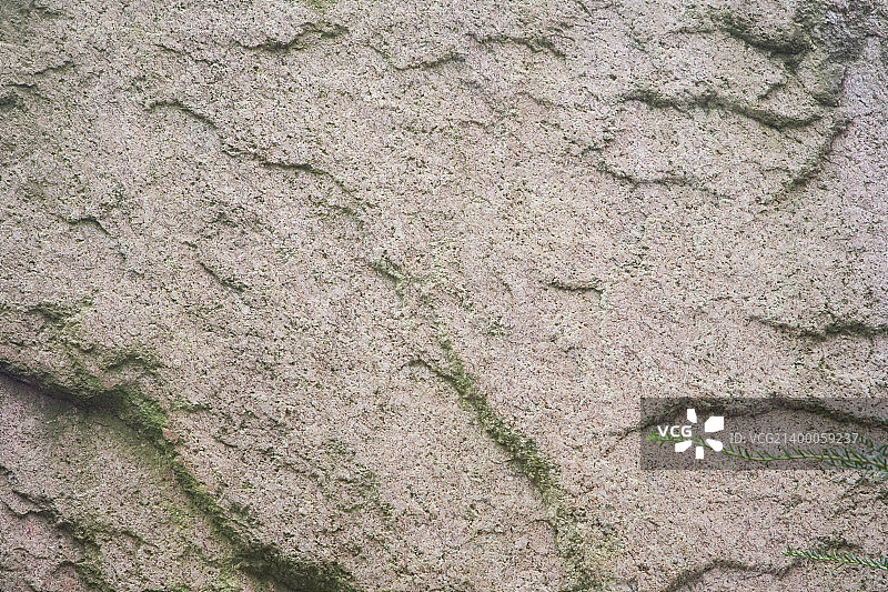 纹理II图片素材