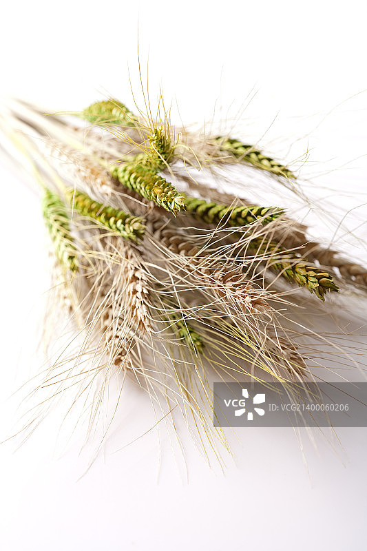 壁纸风格图片素材