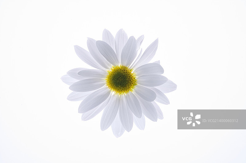 壁纸风格图片素材