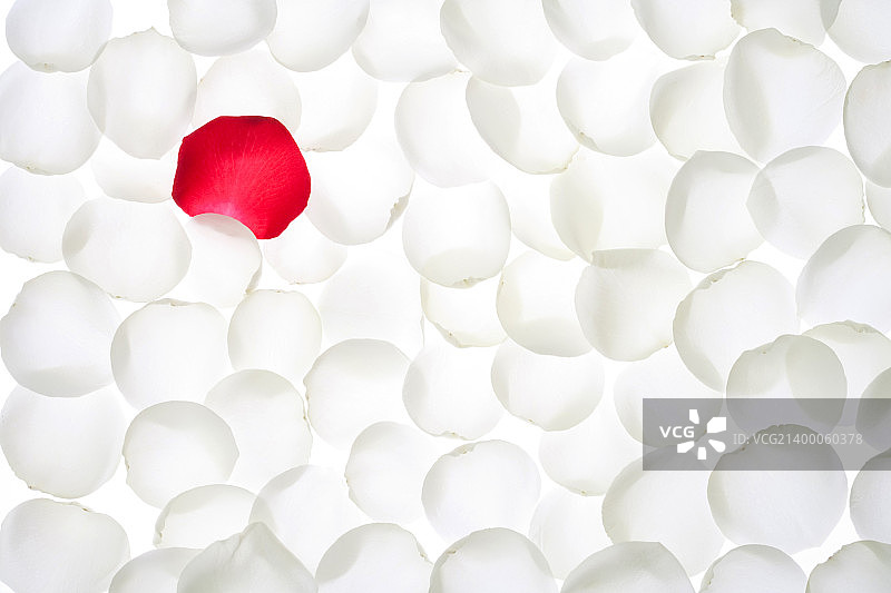 壁纸风格图片素材