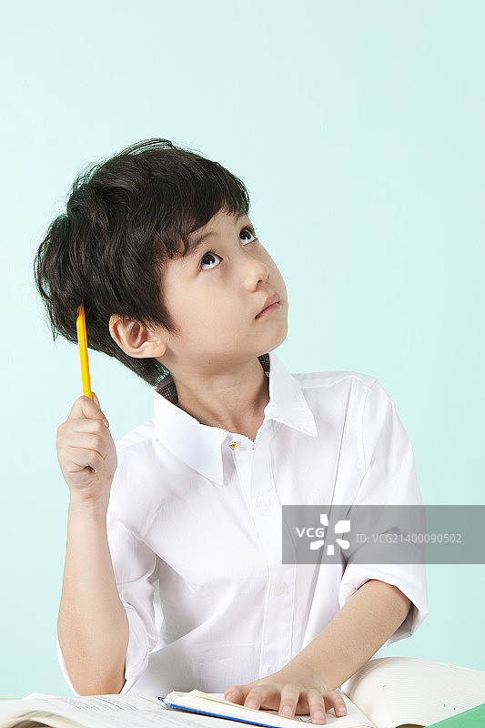 子二世图片素材