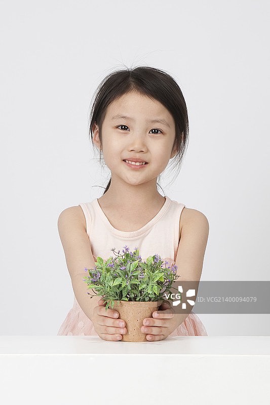 子二世图片素材