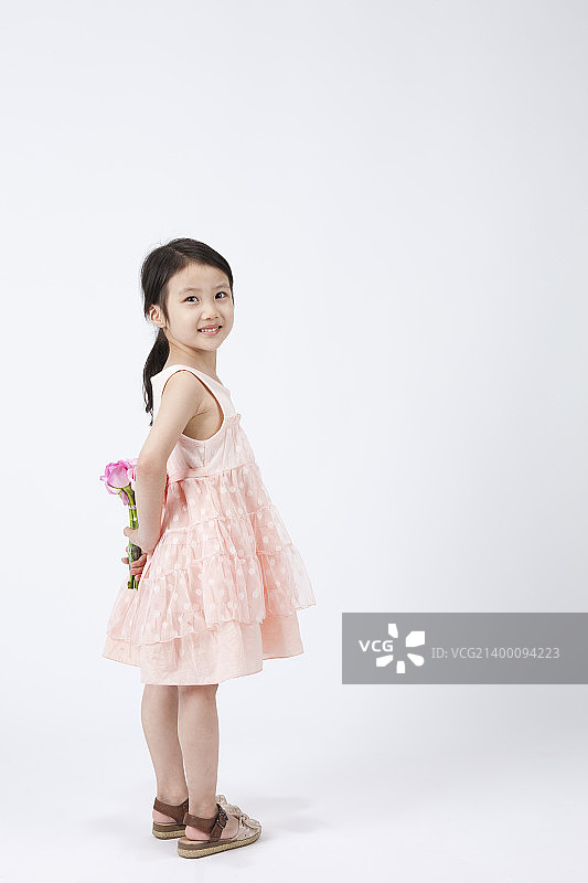 子二世图片素材