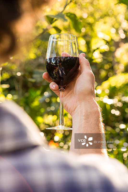 男人拿着一杯红酒图片素材