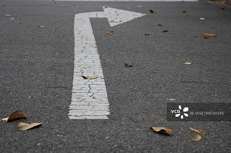 芦苇湿地公园图片素材