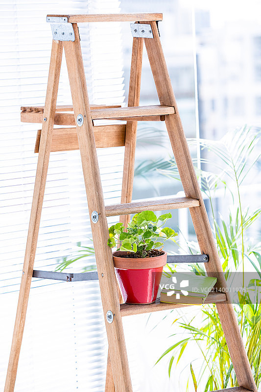 木梯上的绿色植物图片素材