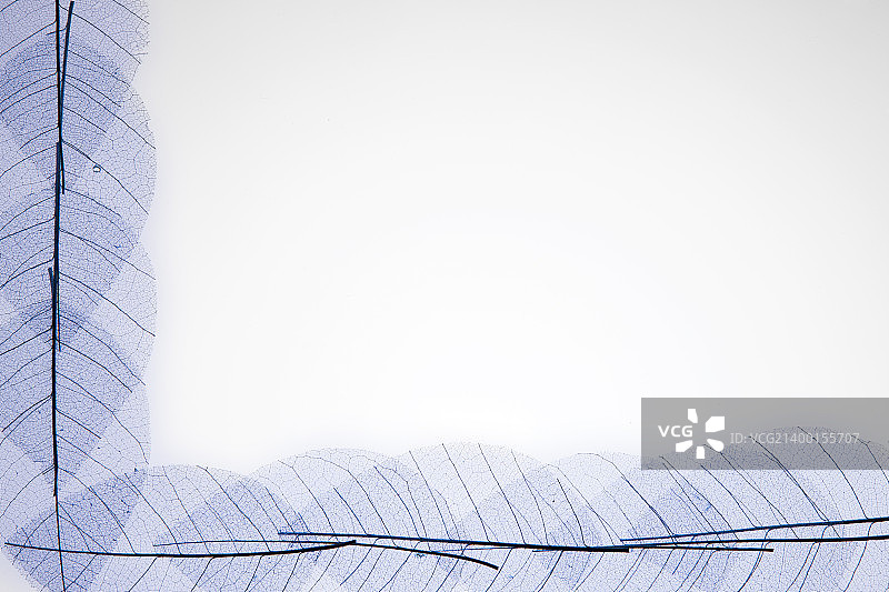 边框020图片素材