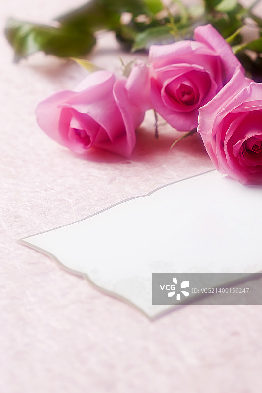 活动日012图片素材